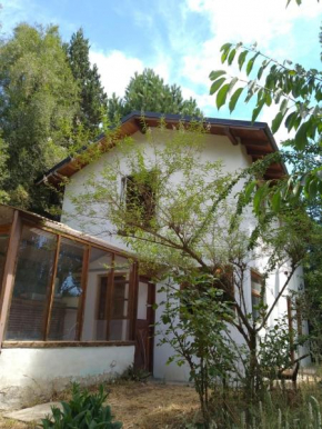 Casa Blanca